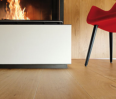 Heizkamin schwenkbare Tür